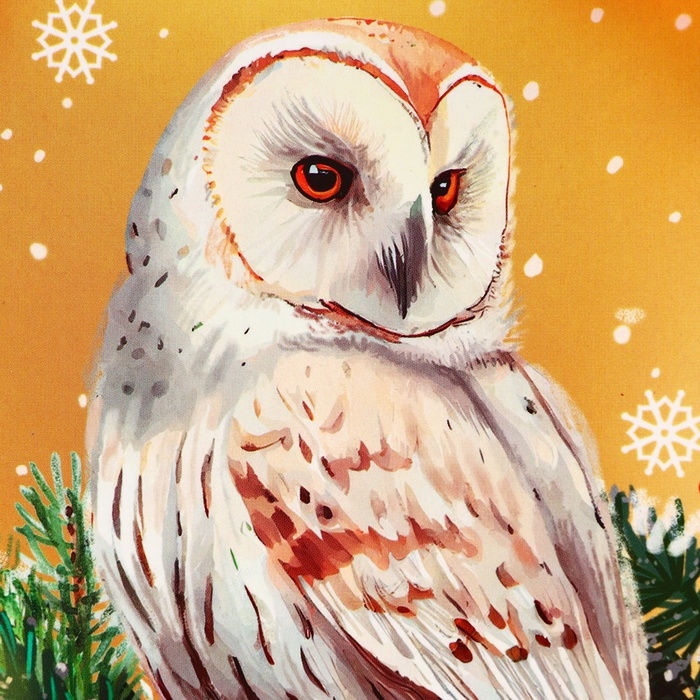 Пакет подарочный новогодний ламинированный Пакет подарочный новогодний ламинированный "Совушка", 23 х 17,8 х 9,8 см.