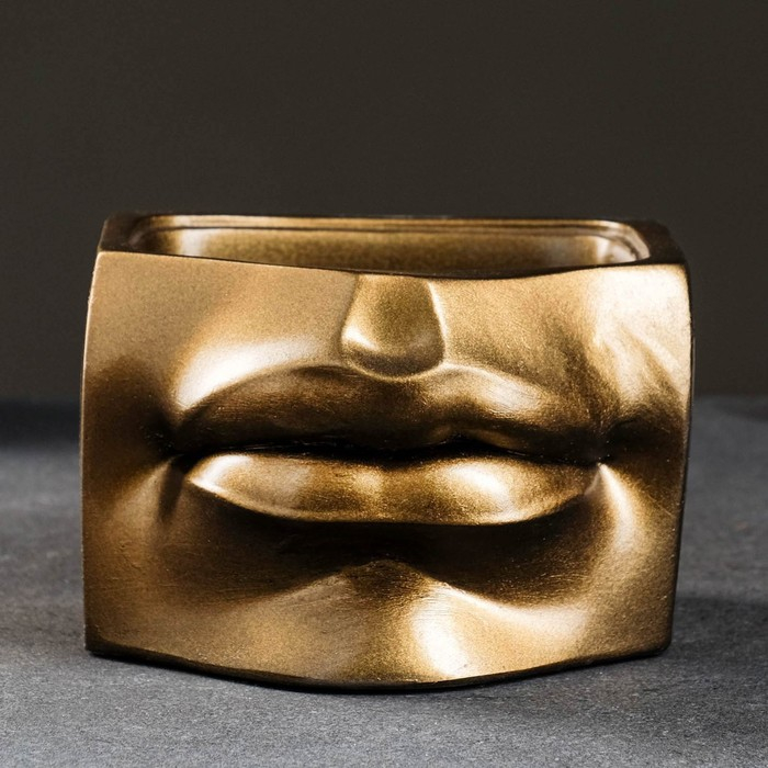 Кашпо - органайзер Кашпо - органайзер "Губы Давида" бронза, 16х11х15,5см