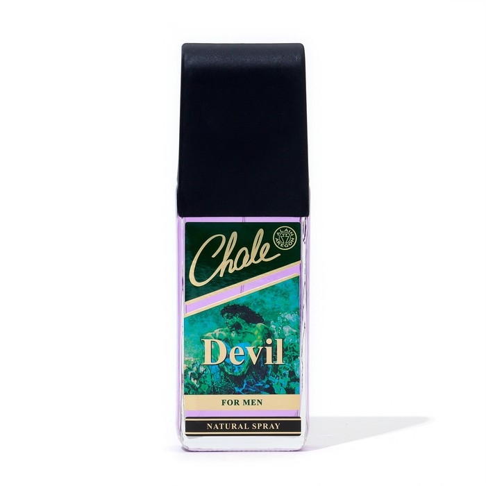 Туалетная вода мужская Chale Devil, 100 мл Туалетная вода мужская Chale Devil, 100 мл