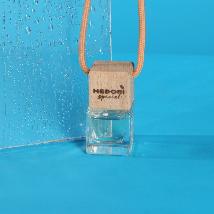 Ароматизатор Medori в бутылочке, Новая машина, 6 мл, TB-4002 Ароматизатор Medori в бутылочке, Новая машина, 6 мл, TB-4002