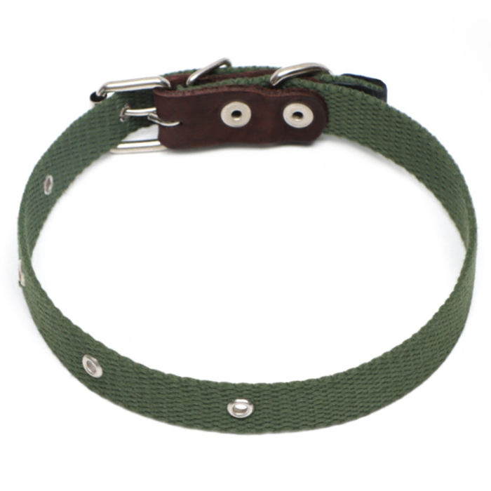 Ошейник брезентовый однослойный, 52 х 2 см, ОШ 25-45 см, тёмно-зелёный Ошейник брезентовый однослойный, 52 х 2 см, ОШ 25-45 см, тёмно-зелёный