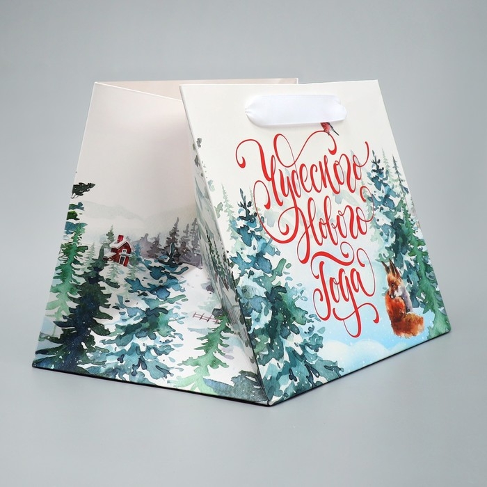 Пакет подарочный новогодний с широким дном «Новогодние чудеса», 25 х 19 х 18 см, Новый год Пакет подарочный новогодний с широким дном «Новогодние чудеса», 25 х 19 х 18 см, Новый год