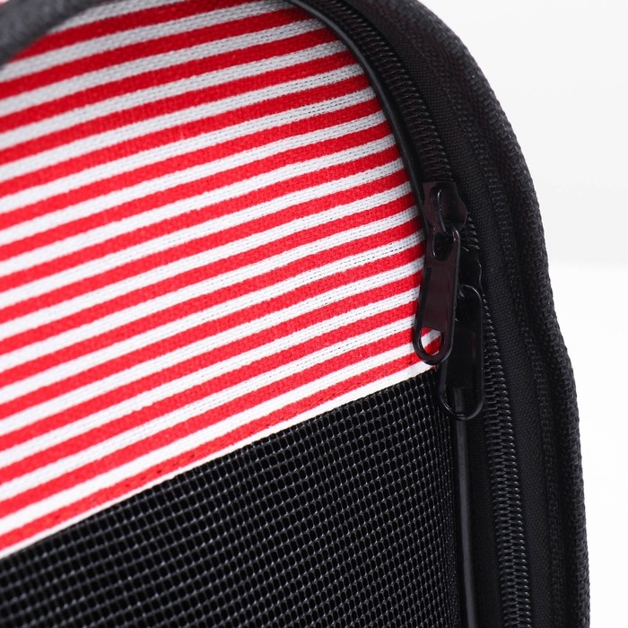 Сумка - переноска для животных Сумка - переноска для животных "Полоски" с органайзером, розовая, размер M, 40 х 26 х 20 см