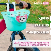 Корзинка детская Dream Bike «Мяу!», цвет бирюзовый