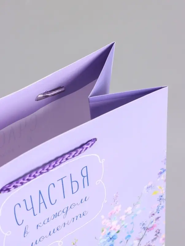 Пакет подарочный ламинированный &laquo;Счастья&raquo;, 18&times;22.3&times;10 см