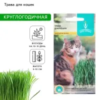 Семена Трава для кошек, 10 г, &laquo;Евро-семена&raquo;