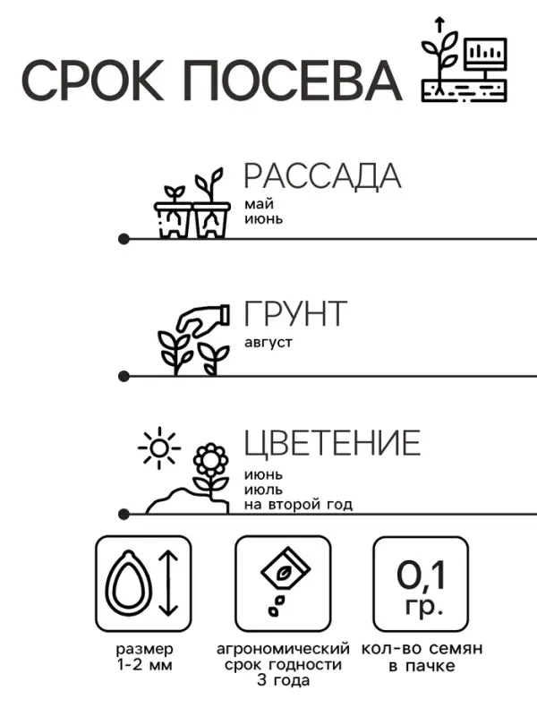 Семена цветов Нивянник, многолетний, белый 0,1 г Семена цветов Нивянник, многолетний, белый 0,1 г