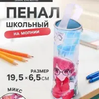 Пенал - тубус школьный Calligrata &laquo;Аниме&raquo;, на молнии, 1 отделение, МИКС