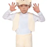 Карнавальный костюм «Ёжик», плюш-лайт, жилет, шорты, маска, рост 92-116 см Карнавальный костюм «Ёжик», плюш-лайт, жилет, шорты, маска, рост 92-116 см