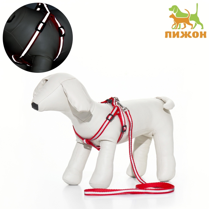 Комплект со светоотражающей лентой, ошейник 120 х 1 см, ОГ 26-40 см, красный Комплект со светоотражающей лентой, ошейник 120 х 1 см, ОГ 26-40 см, красный