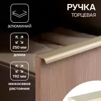 Ручка профильная мебельная торцевая CAPPIO RT002AU, L=250 мм, м/о 192 мм, сатиновое золото