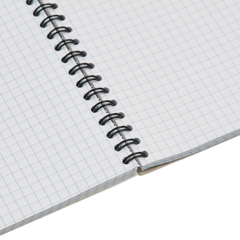 Тетрадь общая Attache Cristal,96л,клет,А4,спир,обл.мел.карт