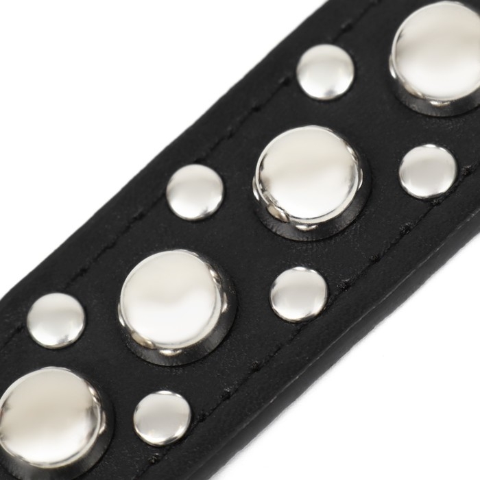 Ошейник  Ошейник "Сириус", кожзам с заклёпками, 56 х 3 см, ОШ 42-52, чёрный