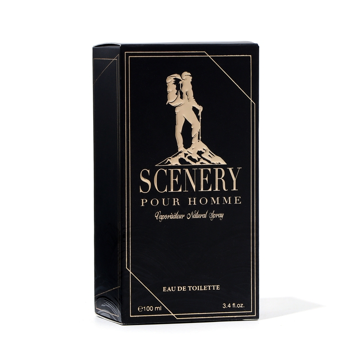 Туалетная вода мужская Scenery, 100 мл Туалетная вода мужская Scenery, 100 мл