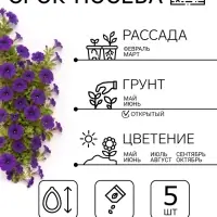 Семена Цветов Петуния &laquo;Джоконда&raquo; F1, синяя, драже в пробирке, 5 шт.