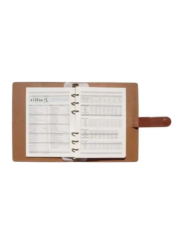 Органайзер на кольцах, C6, с хлястиком, 80л, линия, к/зам, Коричневый Органайзер на кольцах, C6, с хлястиком, 80л, линия, к/зам, Коричневый