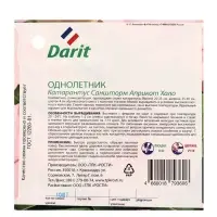 Семена цветов Катарантус Саншторм "Априкот Хало", О, 10 шт