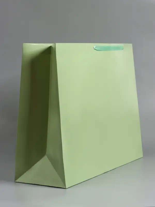 Пакет ламинированный горизонтальный "Хаки", XXL  61 х 46 х 20 см