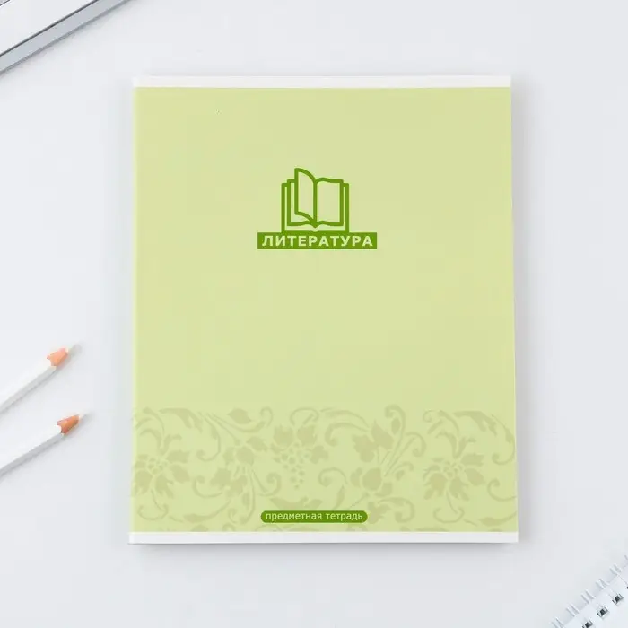 Тетрадь в линейку, предметная, 48 л.,на скрепке, А5 &laquo;МИНИМАЛИЗМ. Литература&raquo;