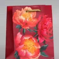 Пакет подарочный ламинированный &laquo;Яркий акцент&raquo;, 11.5&times;14.5&times;6.5 см