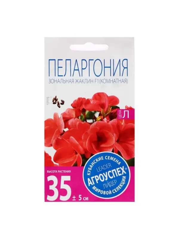 Семена цветов Пеларгония "Жаклин", красная с коричневым листом, F1, 4 шт