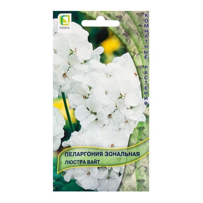 Семена цветов Пеларгония зональная Люстра Вайт, 5шт Семена цветов Пеларгония зональная Люстра Вайт, 5шт