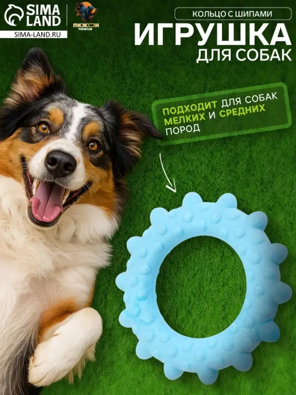 Плавающая игрушка для собак Пижон Premium &laquo;Кольцо с шипами&raquo;, 8 см, вспененный TPR, голубая