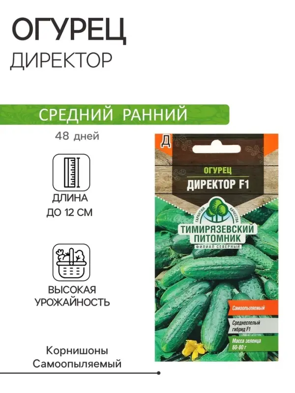 Семена огурца "Директор", F1, 4 шт.