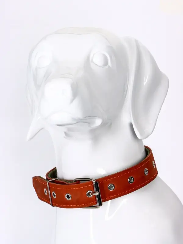 Ошейник комбинированный, безразмерный, 65&times;3.5 см, ОШ 31-61 см, кожа, брезент, коричневый
