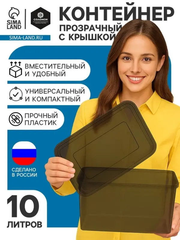 Ящик пластиковый для хранения, с крышкой, объём &mdash; 10 л, прозрачно-чёрный