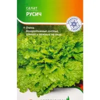 Семена Салат "Русич" 0,3 г Семена Салат "Русич" 0,3 г