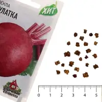 Семена Свекла &laquo;Мулатка&raquo;, 1 г, &laquo;Удачные семена&raquo;