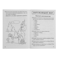 Рабочая тетрадь «Проверяем готовность ребёнка к школе», для детей 6-7 лет, 2 часть, Бортникова Е.