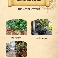Грунт для Пальм и Фикусов PETER PEAT, линия &laquo;Хобби&raquo;, 2.5 л