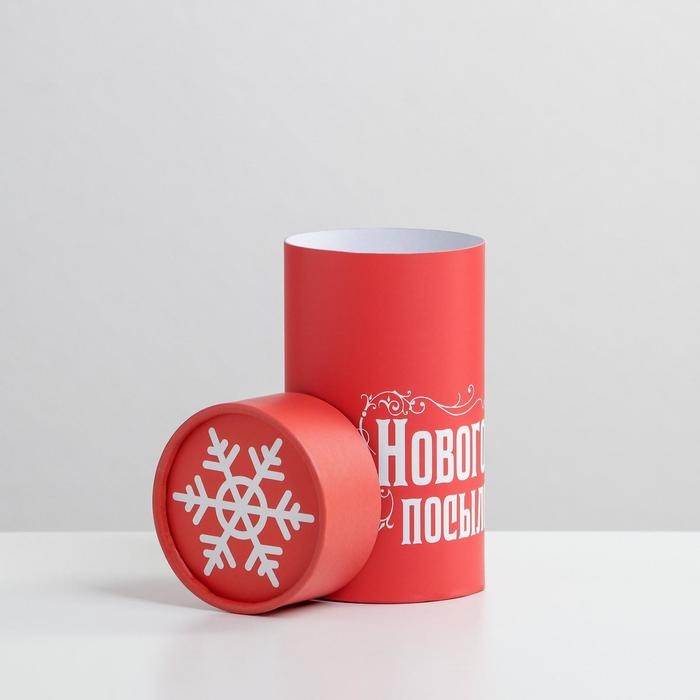 Коробка подарочная «Новогодняя посылочка», 8 х 14,5 см, Новый год