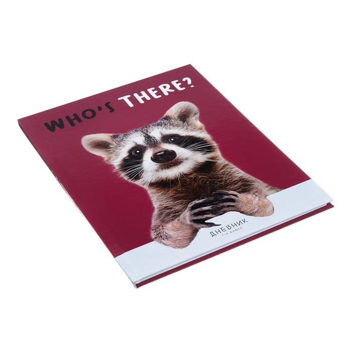 Дневник для 1-4 классов Дневник для 1-4 классов "Енотик", твёрдая обложка, глянцевая ламинация, 48 листов