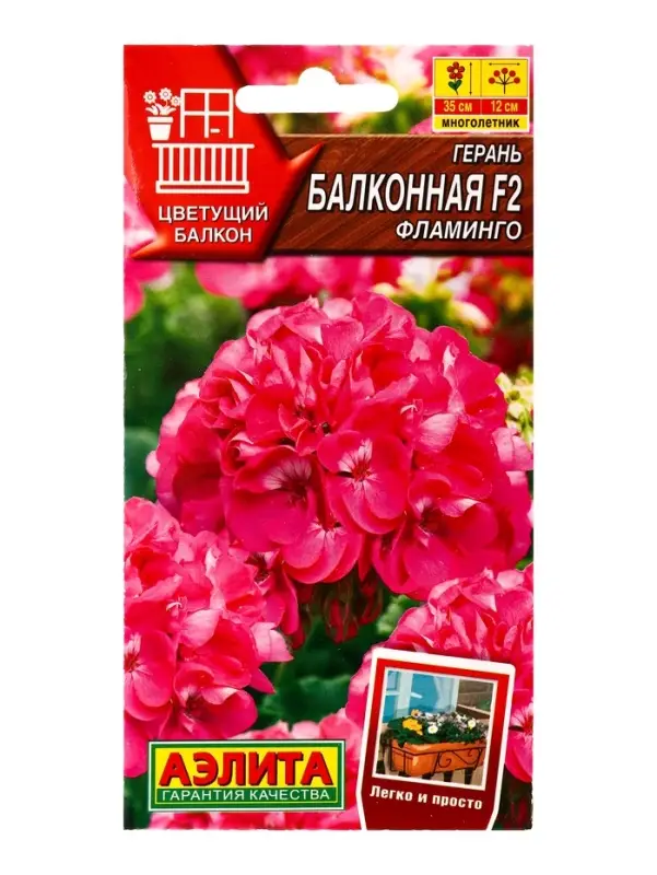 Семена цветов Герань Балконная фламинго F2 Мн Цветущий балкон, Ц/П,5 шт. Семена цветов Герань Балконная фламинго F2 Мн Цветущий балкон, Ц/П,5 шт.