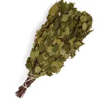 Веник для бани, берёзовый, 50 см, упаковка МИКС