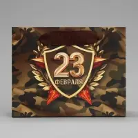 Пакет подарочный ламинированный, упаковка, «С 23 февраля», S 15 х 12 х 5.5 см
