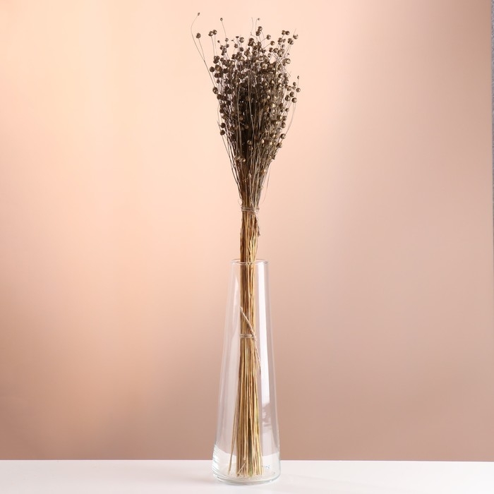 Набор сухоцветов Набор сухоцветов "Лён-долгунец", банч длина 55-60 (+/- 6 см), бронза