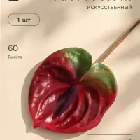 Цветы искусственные &laquo;Антуриум&raquo;, h=60 см, красные