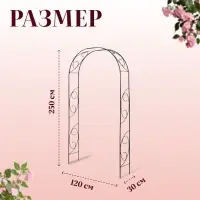 Арка садовая, 250&times;120&times;30 см, для вьющихся растений, металлическая, зелёная, &laquo;Узор-1&raquo;