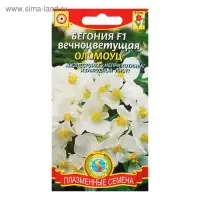 Семена Бегония вечноцветущая "Оломоуц", F1, 3 г Семена Бегония вечноцветущая "Оломоуц", F1, 3 г