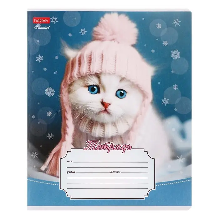 Тетрадь 12 листов линейку &laquo;Уютные котики&raquo;, обложка мелованная бумага, МИКС