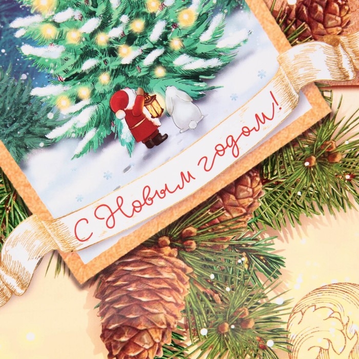 Пакет подарочный новогодний ламинированный «С Новым годом!», L 28 х 38 х 9 см Пакет подарочный новогодний ламинированный «С Новым годом!», L 28 х 38 х 9 см