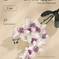 Цветы искусственные &laquo;Орхидея Фаленопсис мультифлора&raquo;, 6&times;37 см, бело-сиреневые