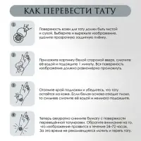 Переводные тату на тело парные «Авокадо: Не чувствую пустоты...», временные татуировки цветные, 10.5×6 см