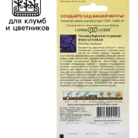 Семена гвоздика «Фиолетовая», 0.1 г Семена гвоздика «Фиолетовая», 0.1 г