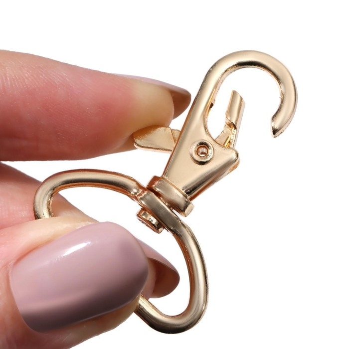 Карабин металлический, 41 × 30 мм / 25 × 2,5 мм, 5 шт, цвет золотой