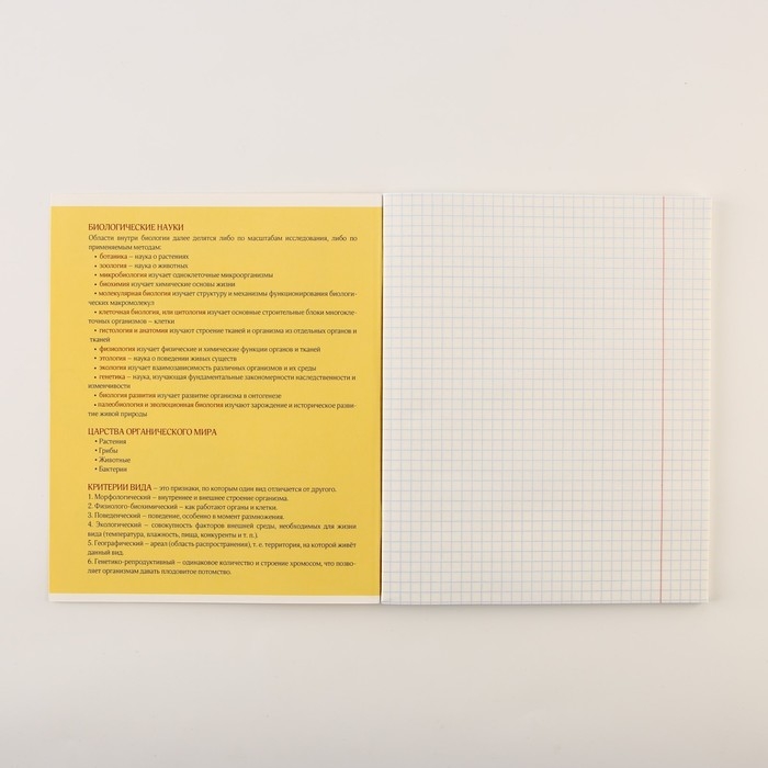 Набор тетрадей А5, 48 л "Персонажи" биология, физика, химия